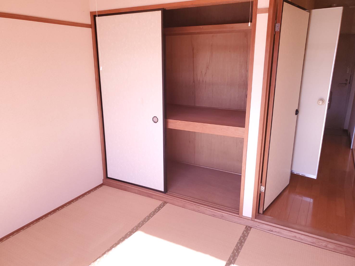  画像7