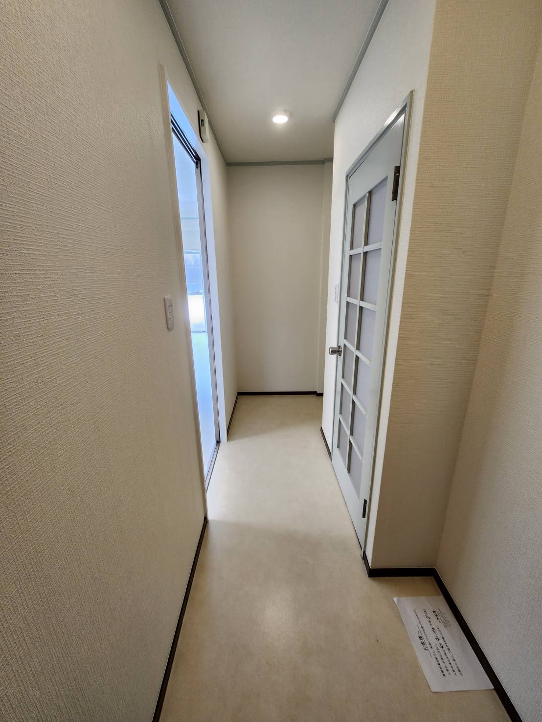  画像11