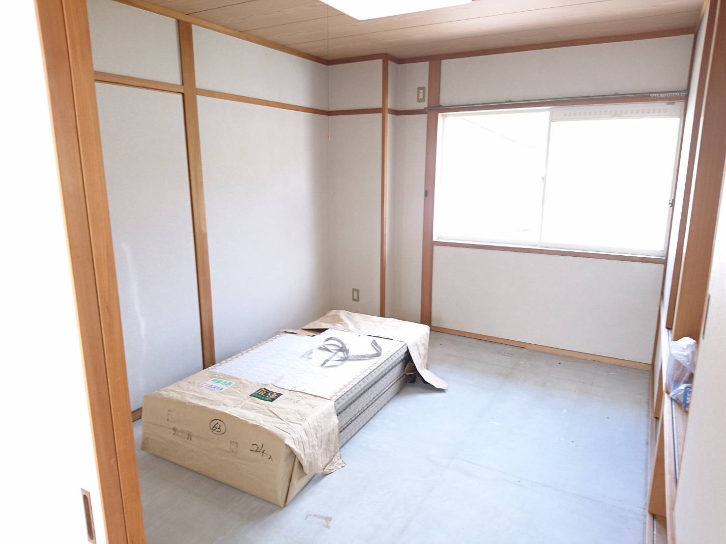  画像10