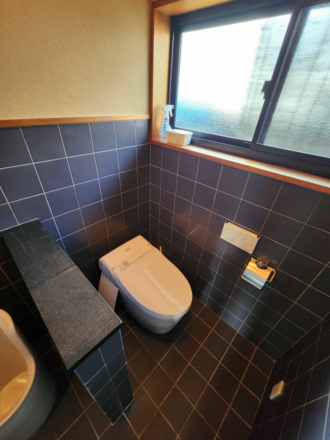  画像19
