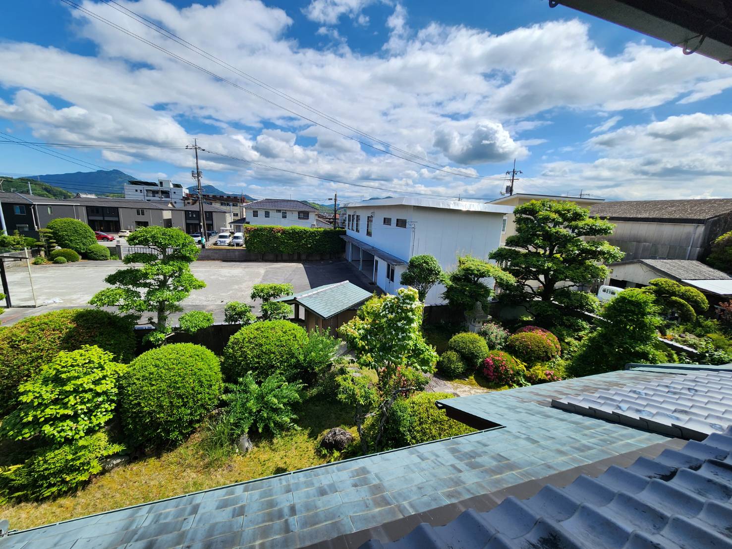  画像6